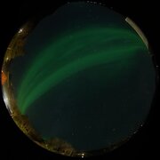 aurora