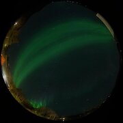 aurora