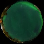 aurora