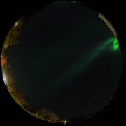 aurora