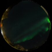 aurora