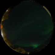 aurora