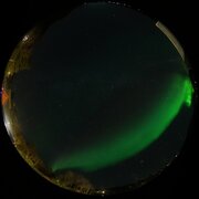 aurora