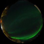 aurora