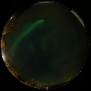 aurora