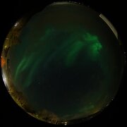 aurora