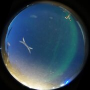 aurora
