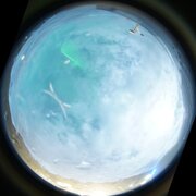 aurora