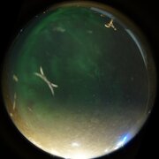 aurora