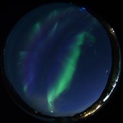aurora