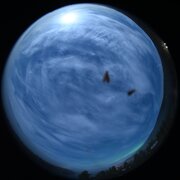 aurora