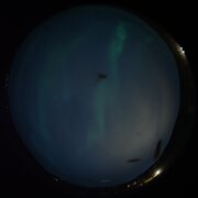 aurora