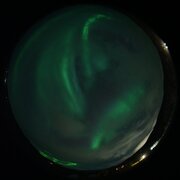 aurora