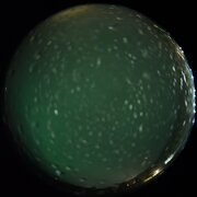 aurora