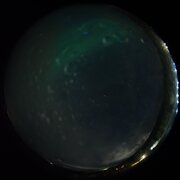 aurora