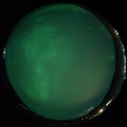 aurora