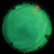 aurora