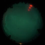 aurora
