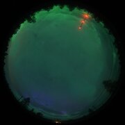 aurora