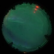 aurora