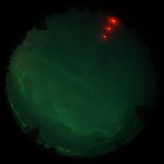 aurora