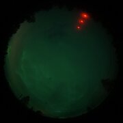 aurora