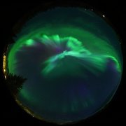 aurora
