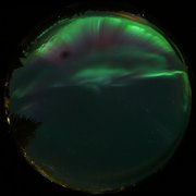 aurora
