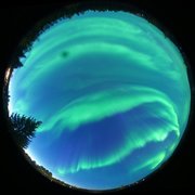 aurora
