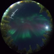 aurora