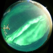 aurora