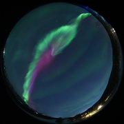 aurora